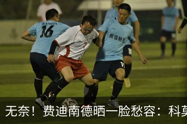 无奈！费迪南德晒一脸愁容：科莫让我们看起来像是中奖进的欧冠